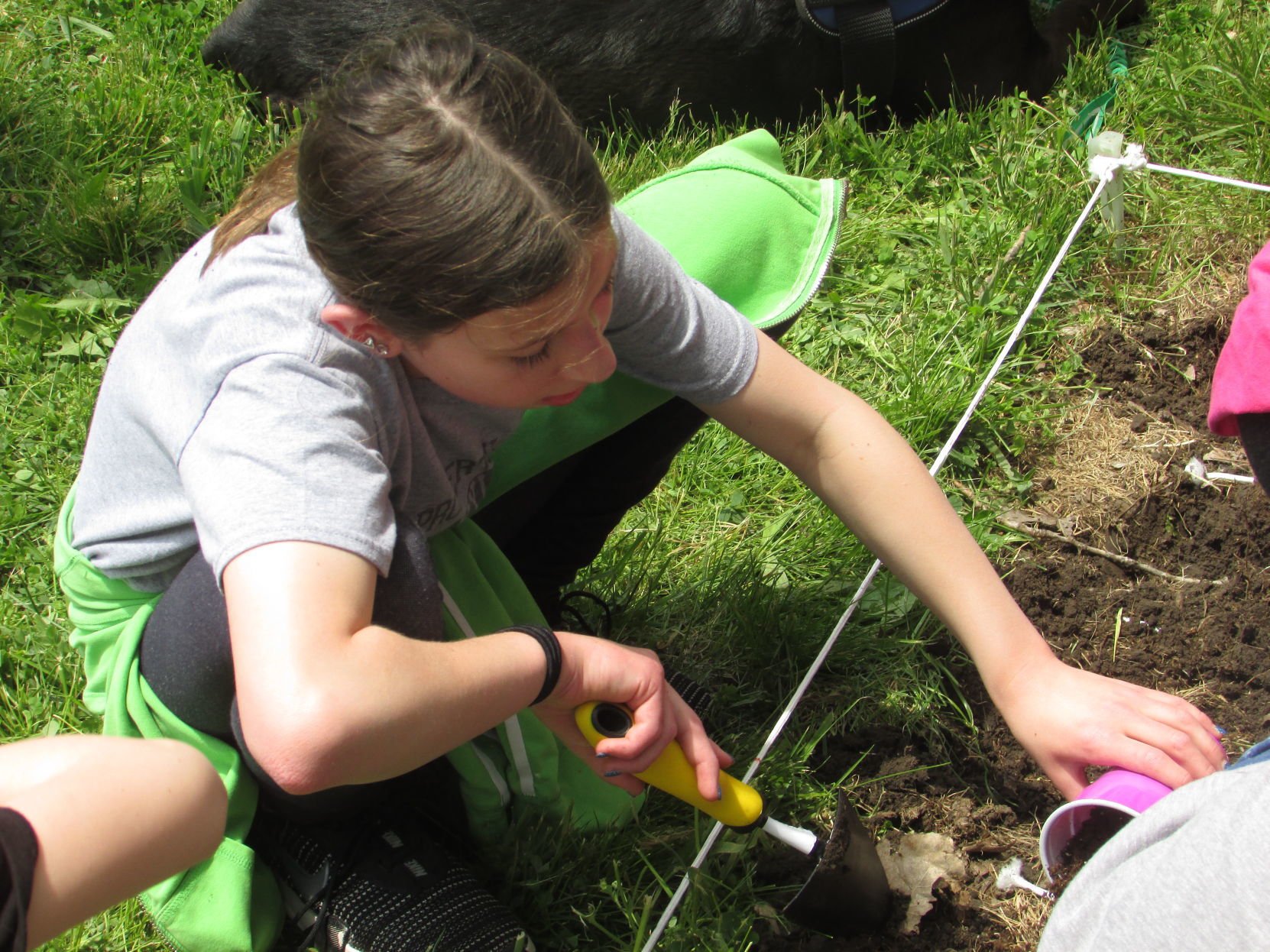 Pollinator Project